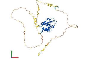 AlphaFold protein structure predicition of Human Recombinant IRF1 Protein, UniprotID P10914