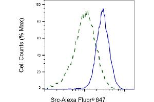 Validation of Src knockdown using flow cytometry. (Recombinant Src antibody)
