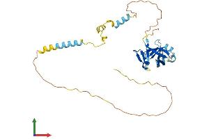 Protein Structure (PS) image for Nuclear Receptor Interacting Protein 2 (NRIP2) (AA 1-281) protein (His tag) (ABIN7549821)