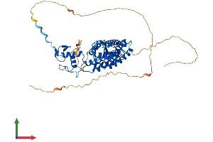 AlphaFold protein structure predicition of Mouse Recombinant Rarb Protein, UniprotID P22605 (Retinoic Acid Receptor beta Protein (AA 1-482) (His tag))