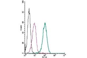 Cell surface detection of LPAR2 (EDG4) by indirect flow cytometry in live intact human THP-1 monocytic leukemia cells: (black line) Cells. (EDG4 antibody  (Extracellular))