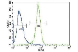 PGK1 antibody flow cytometric analysis of HeLa cells (right histogram) compared to a negative control (left histogram).
