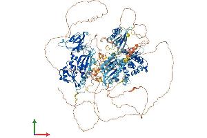 AlphaFold protein structure predicition of Human Recombinant PPIP5K1 Protein, UniprotID Q6PFW1 (HISPPD2A Protein (AA 1-1433) (His tag))