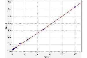 EPB42 ELISA Kit