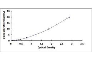 Typical standard curve (LDHB ELISA Kit)