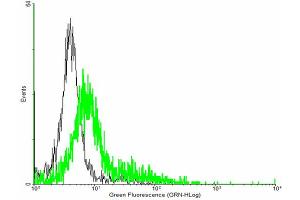 FACS analysis of negative control 293 cells (Black) and GIT2 expressing 293 cells (Green) using GIT2 purified MaxPab mouse polyclonal antibody. (GIT2 antibody  (AA 1-471))