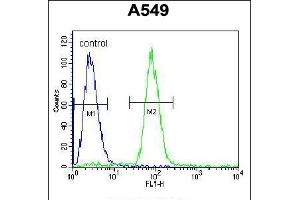 Flow cytometric analysis of A549 cells (right histogram) compared to a negative control cell (left histogram). (SOX3 antibody  (AA 189-218))