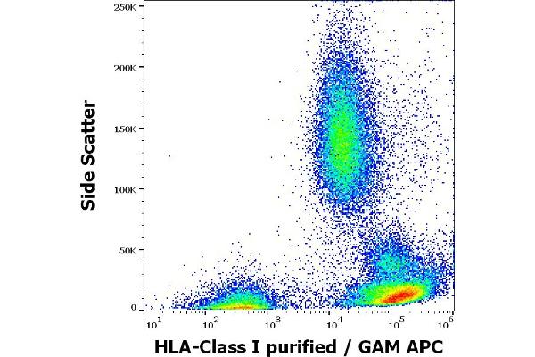 MICA antibody
