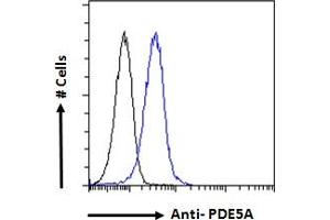 Flow Cytometry (FACS) image for anti-phosphodiesterase 5A, cGMP-Specific (PDE5A) (C-Term) antibody (ABIN185350)