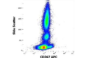 Flow cytometry surface staining pattern of human peripheral whole blood stained using anti-human CD267 (1A1) APC antibody (10 μL reagent / 100 μL of peripheral whole blood). (TACI antibody  (APC))