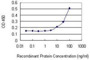 Detection limit for recombinant GST tagged POU4F1 is 3 ng/ml as a capture antibody. (POU4F1 antibody  (AA 331-420))