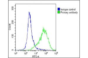 Overlay histogram showing U-2 OS cells stained with (ABIN1538072 and ABIN2849225)(green line). (PRRT2 antibody  (AA 207-233))