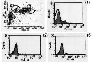 Flow Cytometry (FACS) image for anti-CD274 (PD-L1) antibody (ABIN1449173) (PD-L1 antibody)