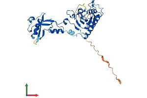 AlphaFold protein structure predicition of Mouse Recombinant Adat3 Protein, UniprotID Q6PAT0