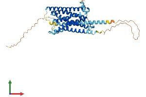 Protein Structure (PS) image for Serotonin Receptor 1D (HTR1D) (AA 1-377) protein (His tag) (ABIN7551743)