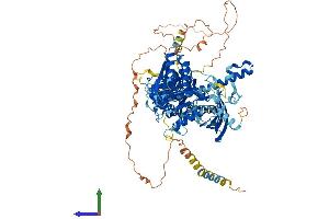 AlphaFold protein structure predicition of Human Recombinant CHSY3 Protein, UniprotID Q70JA7