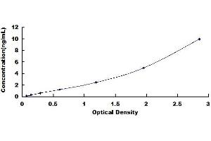 MECP2 ELISA Kit