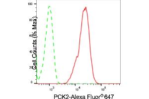 Flow cytometric analysis of PCK2 expression in C2C12 cells using PCK2 antibody (ABIN7799800), 1:2,000). (Recombinant PEPCK antibody)
