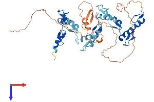 AlphaFold protein structure predicition of Human Recombinant ZNF134 Protein, UniprotID P52741 (ZNF134 Protein (AA 1-427) (His tag))