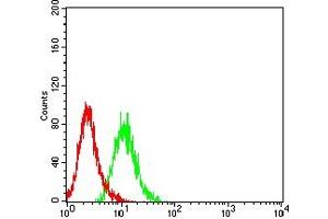 Flow cytometric analysis of HL-60 cells using CD27 mouse mAb (green) and negative control (red). (CD27 antibody  (AA 20-144))