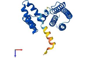 PDCD10 Protein (AA 1-212) (His tag)