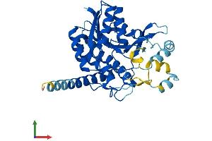 AlphaFold protein structure predicition of Human Recombinant HSD17B7 Protein, UniprotID P56937 (HSD17B7 Protein (AA 1-341) (His tag))