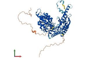 AlphaFold protein structure predicition of Mouse Recombinant Sptlc3 Protein, UniprotID Q8BG54 (SPTLC3 Protein (AA 1-563) (His tag))