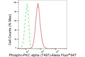 Flow cytometric analysis of Phospho-PKC alpha (T497) expression in C2C12 cells using Phospho-PKC alpha (T497) antibody (ABIN7799986), 1:2,000).