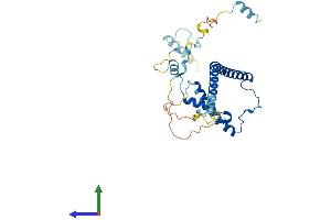 AlphaFold protein structure predicition of Mouse Recombinant Ebna1bp2 Protein, UniprotID Q9D903