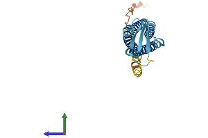 Protein Structure (PS) image for Sarcospan (Kras Oncogene-Associated Gene) (SSPN) (AA 1-216) protein (His tag) (ABIN7557761)