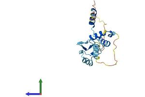 AlphaFold protein structure predicition of Human Recombinant SAP30L Protein, UniprotID Q9HAJ7