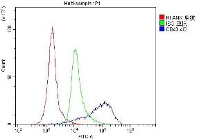 7. (CD43 antibody  (AA 272-400))