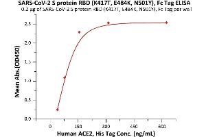 Immobilized SARS-CoV-2 S protein RBD (K417T, E484K, N501Y), Fc Tag (ABIN6992401) at 2 μg/mL (100 μL/well) can bind Human ACE2, His Tag (ABIN6952618,ABIN6952641) with a linear range of 39-156 ng/mL (QC tested).