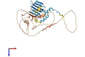AlphaFold protein structure predicition of Human Recombinant PMS2P1 Protein, UniprotID A4D2B8 (PMS2P1 Protein (AA 1-440) (His tag))