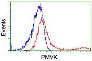 HEK293T cells transfected with either RC202867 overexpress plasmid (Red) or empty vector control plasmid (Blue) were immunostained by anti-PMVK antibody (ABIN2454969), and then analyzed by flow cytometry. (PMVK antibody)