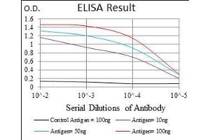 Black line: Control Antigen (100 ng), Purple line: Antigen(10 ng), Blue line: Antigen (50 ng), Red line: Antigen (100 ng), (Decorin antibody  (AA 263-324))