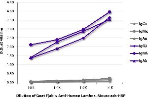 ELISA plate was coated with purified human IgGκ, IgMκ, IgAκ, IgGλ, IgMλ, and IgAλ. (lambda antibody (HRP))