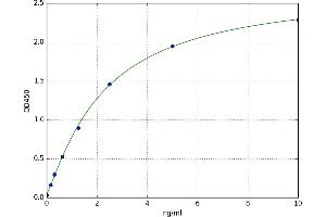A typical standard curve (Keratin 2 ELISA Kit)