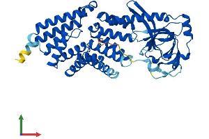 Protein Structure (PS) image for Tetratricopeptide Repeat Domain 5 (TTC5) (AA 1-440) protein (His tag) (ABIN7544819)