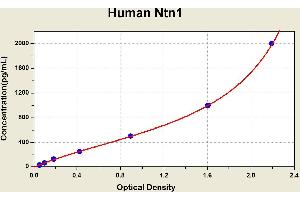 Diagramm of the ELISA kit to detect Human Ntn1with the optical density on the x-axis and the concentration on the y-axis.