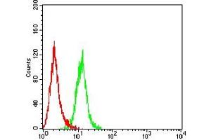 Flow cytometric analysis of Hela cells using FADD mouse mAb (green) and negative control (red). (FADD antibody  (AA 20-150))