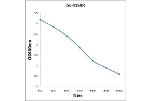 Antigen: 0. (PIK3C3 antibody  (AA 301-400))