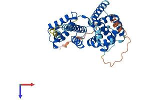 Cyclin N-terminal Domain Containing 1 (CNTD1) (AA 1-334) protein (His tag)