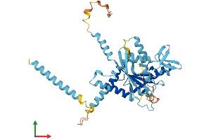 Septin 5 Protein (SEPT5) (AA 1-369) (His tag)