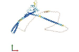 Protein Structure (PS) image for LUC7-Like 3 (LUC7L3) (AA 1-432) protein (His tag) (ABIN7548917)