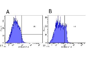 Flow-cytometry using anti-CD4 antibody MT310   Cynomolgus monkey lymphocytes were stained with an isotype control (panel A) or the rabbit-chimeric version of MT310 ( panel B) at a concentration of 1 µg/ml for 30 mins at RT. (Recombinant CD4 antibody)