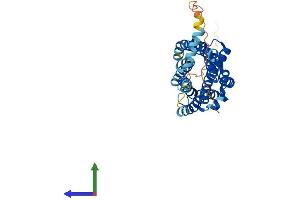 AlphaFold protein structure predicition of Mouse Recombinant Ccr5 Protein, UniprotID P51682