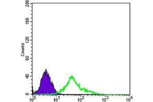 Flow cytometric analysis of EC cells using NGFR mouse mAb (green) and negative control (purple).