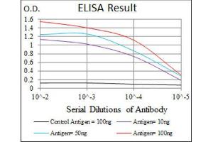ELISA image for anti-Keratin 5 (KRT5) (AA 316-590) antibody (ABIN1845567) (Cytokeratin 5 antibody  (AA 316-590))