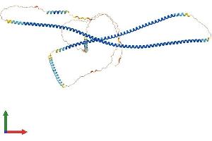 AlphaFold protein structure predicition of Human Recombinant GOLGA6C Protein, UniprotID A6NDK9 (GOLGA6C Protein (AA 1-693) (His tag))